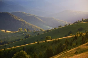Sztuka tworzenia pięknego i harmonijnego ogrodu: Ogród jako oaza spokoju i inspiracji