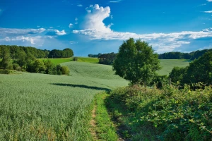 Trendy w opakowaniach budowlanych: biodegradowalne, kompostowalne czy wielokrotnego użytku?